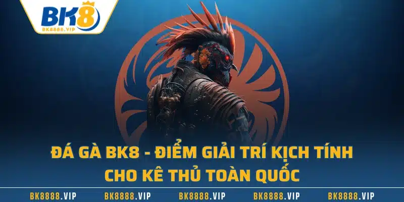 Đá gà BK8 – Điểm giải trí kịch tính cho kê thủ toàn quốc