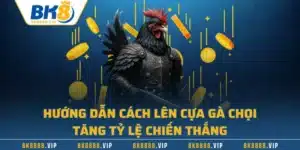 Hướng Dẫn Cách Lên Cựa Gà Chọi - Tăng Tỷ Lệ Chiến Thắng