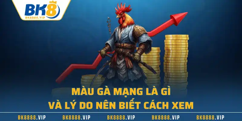 Màu gà mạng là gì và lý do nên biết cách xem