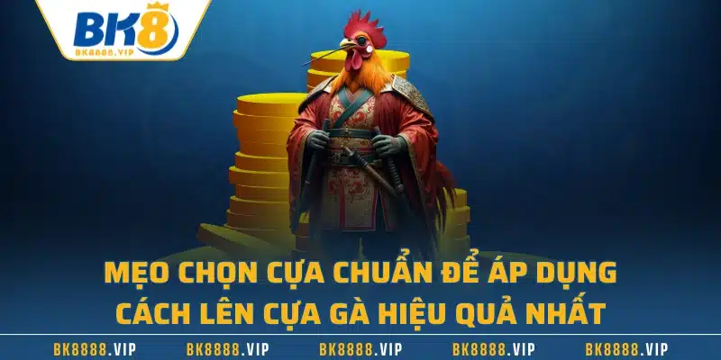 Mẹo chọn cựa chuẩn để áp dụng cách lên cựa gà hiệu quả nhất