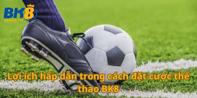 Lợi ích hấp dẫn trong cách đặt cược thể thao BK8