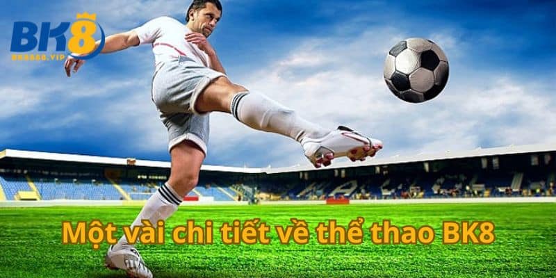 Một vài chi tiết về thể thao BK8