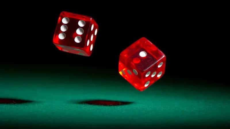 Nên đặt cược tùy vào khả năng tài chính để tối ưu trải nghiệm cá cược