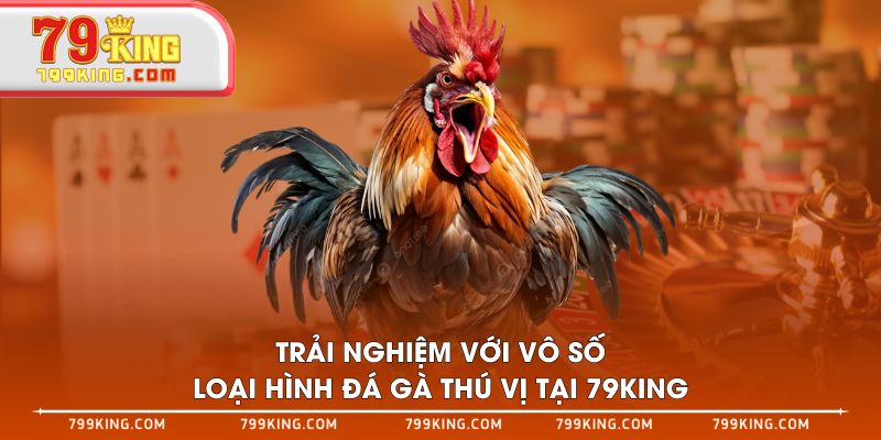 Trải nghiệm với vô số loại hình đá gà thú vị tại 79KING