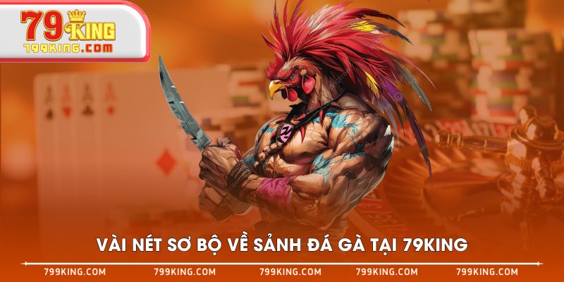 Vài nét sơ bộ về sảnh đá gà tại 79KING